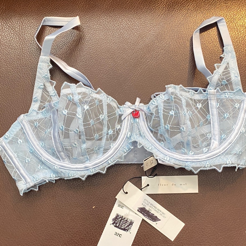 Fleur du Mal Sky Blue Sheer Lace Bra
